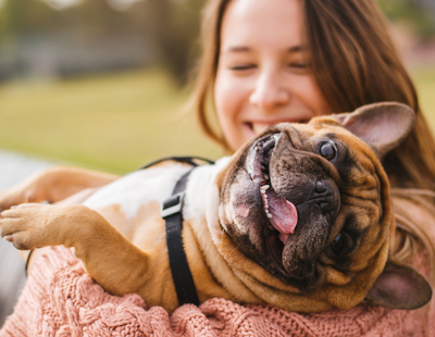 Campaign launched to allow pets to be kept by private tenants