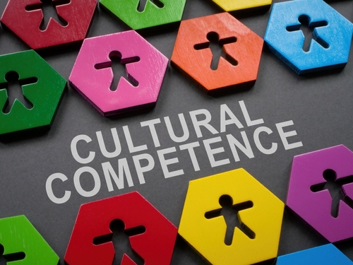 Agents to be trained in how to be “culturally competent” 